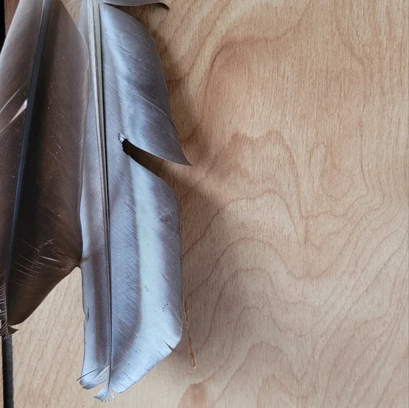 Dream catcher - Picture 5 of 5